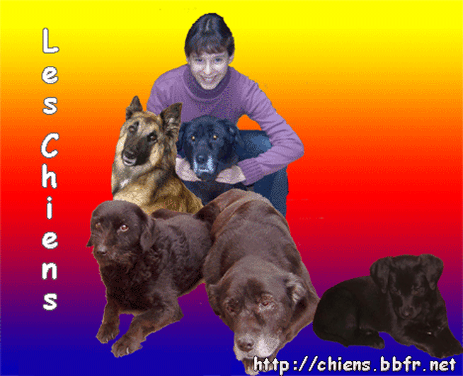 Les chiens