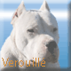 Forum Verrouillé