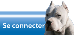 Connexion