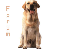 Forum Labrador Mania