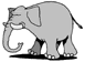 elephant