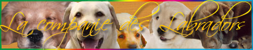 The Labrador's Company