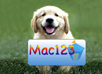 image chien Labrador avec Logo mac123 (Arc-en-ciel sur fond bleu)